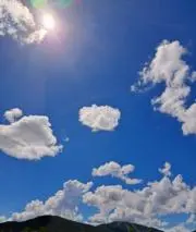 GoRaLiの画像