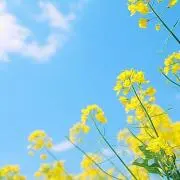 はる☀️コメントセール開催中✨の画像