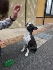 tomoの画像