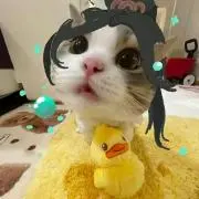 とと