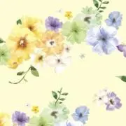 まの画像