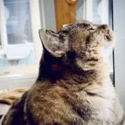 y_445⭐︎の画像