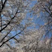 りえの画像