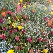 ⚠️プロフ見て〜！m(*˘︶˘*)m*♡の画像