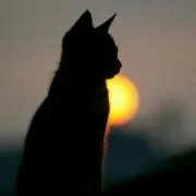 まる