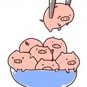 どんの画像