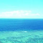 みぃち(ฅ•.•ฅ)