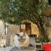 ジャスタウェイの画像