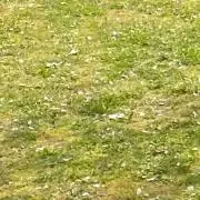 着こなすの画像