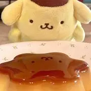 SkRの画像