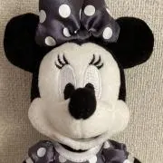 スイカの画像