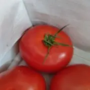 アムヤの画像