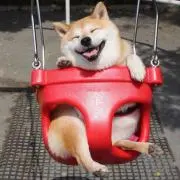 まるこちゃんの画像