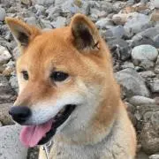 仁