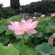 そうママ
