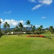810の画像