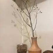 yam