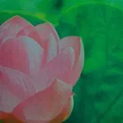 トミィの画像