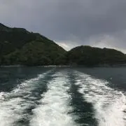 ぜっとん！！