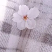 ととの画像