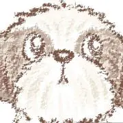 サクママ