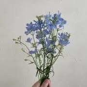 mの画像