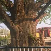 令和の画像
