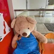 やの画像