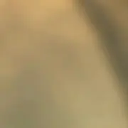 bella-andの画像