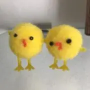 ⭐︎ひよ⭐︎