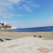 もちの画像