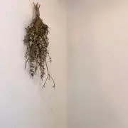 mの画像
