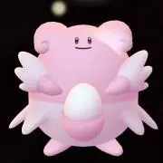 くーちゃんの画像