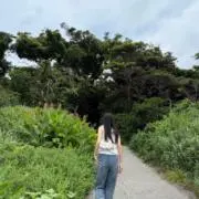 syの画像