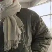 Fogの画像