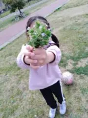 めめあおの画像