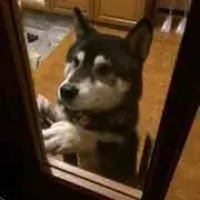 ☆さち☆