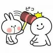 ピコの画像
