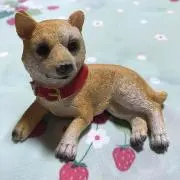ふーちゃん