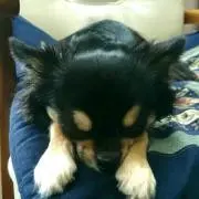 KICK☆