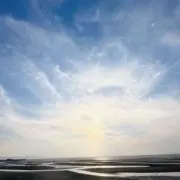 あーりーの画像