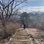ろーの画像