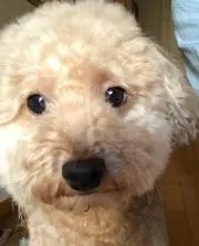 ジャムパン