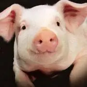 こうちゃん
