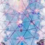 よしよ24の画像