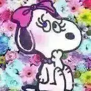 bell☆プロフ必読★必見★の画像