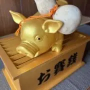 金ぶー*・:.˚✧₊⁎❝᷀ົཽの画像