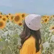 バトスピ BS74 覇極来臨 白 覚竜 17種各3枚51枚セット ② - メルカリ