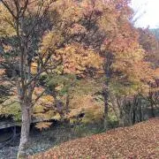 ●即購入大歓迎●y’s第三事業部の画像