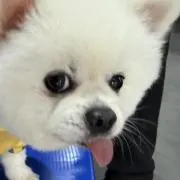 春樹